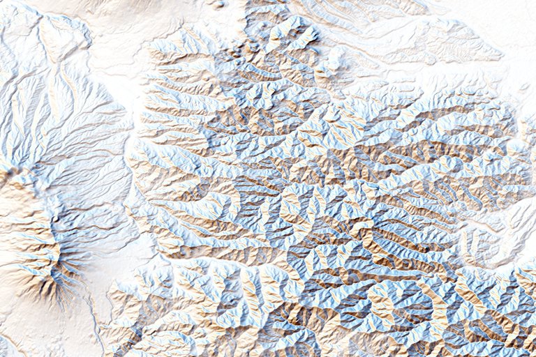 polychrome brewer shading